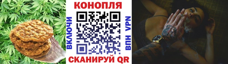 наркотики Гаврилов Посад Canna-Cookies марихуана