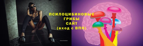 хмурый Сосновоборск