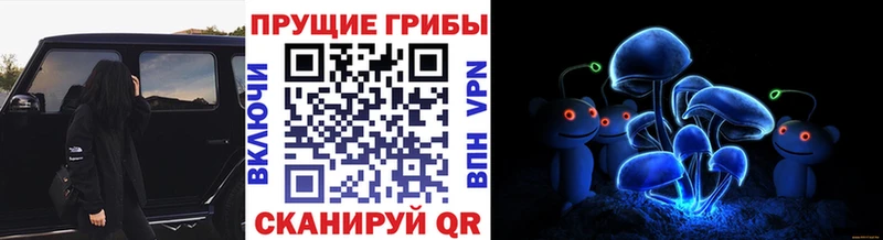Галлюциногенные грибы мухоморы  купить наркоту  Гаврилов Посад 