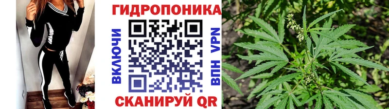 Канабис семена Гаврилов Посад